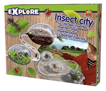 INSECT CITY